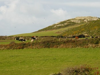 rural views from Gadlys