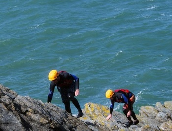 Naturebites Anglesey 04